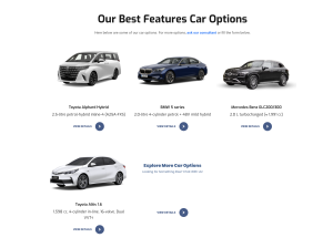 many car leasing options we provided
